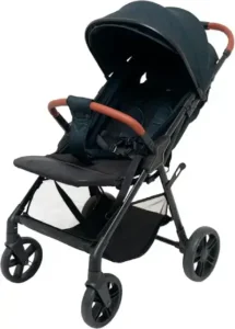 1.1 valor-de-um-carrinho-de-bebê